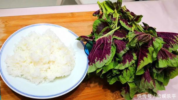 健康又好吃?营养又丰富?教你一款吃不腻的蛋炒饭,好吃太上头了