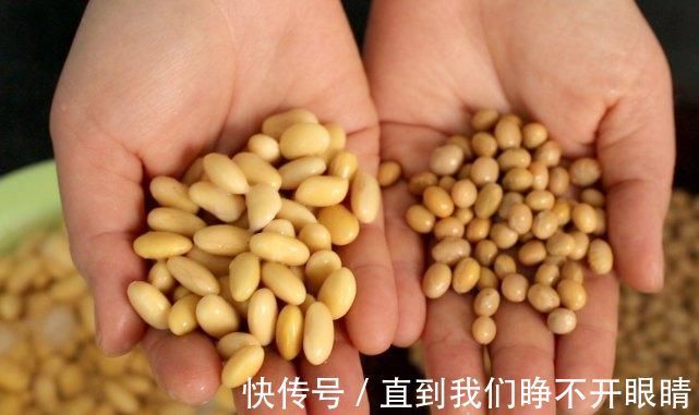 糖尿病人|糖尿病人最好看一下常吃大豆，到底是升血糖，还是降血糖