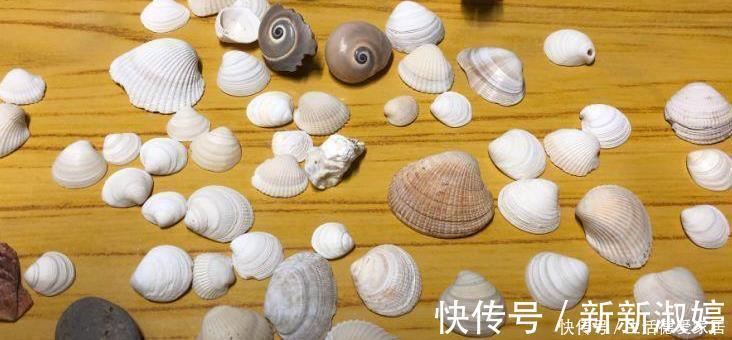 花盆里加点这个，不烂根不黄叶，轻松养满盆