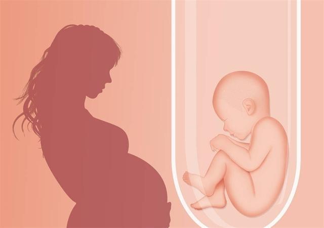 移植|记得1988年国内第一例试管婴儿吗?经过很多转变后,如今这样