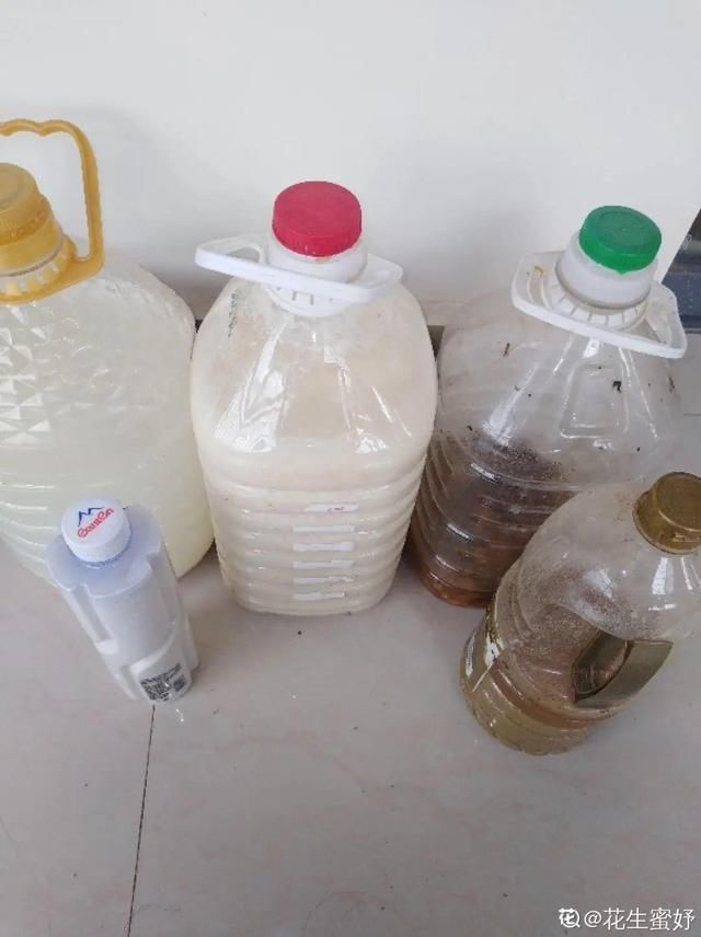 夏天养花，这3种事千万别做，否则黄叶又烂根