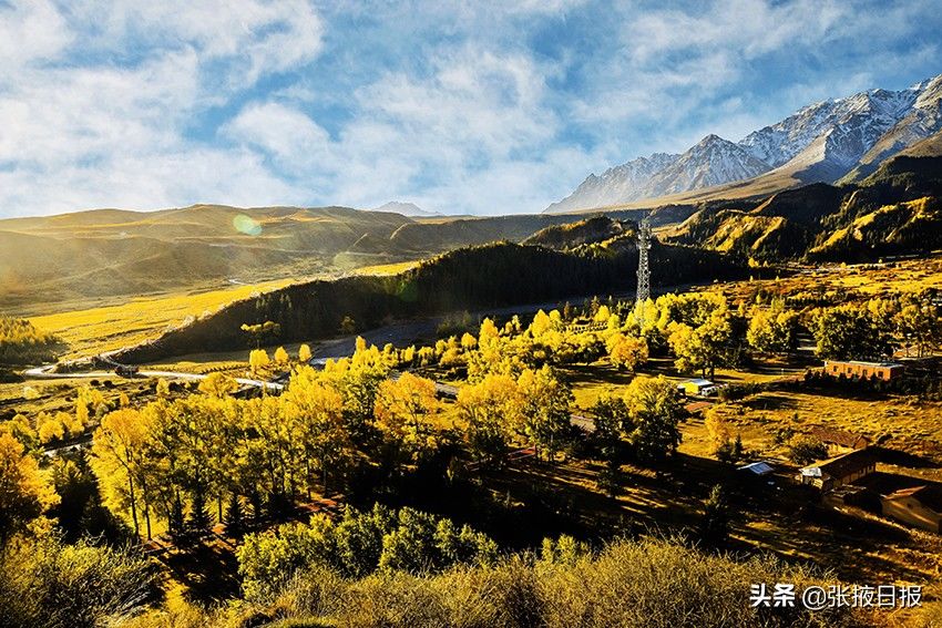 祁连山|秋色浸染祁连山，大都麻色彩斑斓惹人醉