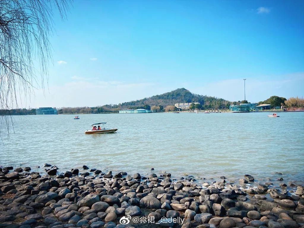 老年|留松过大年丨松江这些红红火火的地方，你去打卡了吗？