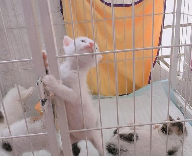 男生|初中女生自认“小仙女”的4个举动,其实很幼稚,男生没眼看