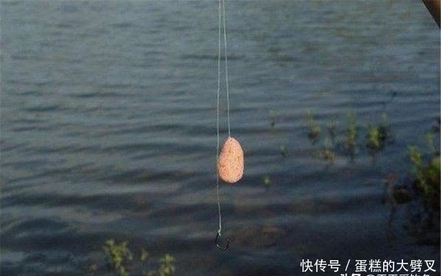 垂钓|夏天手竿钓鲢鳙，要分5个步骤走，先聚鱼再钓鱼，大鱼连竿不间断