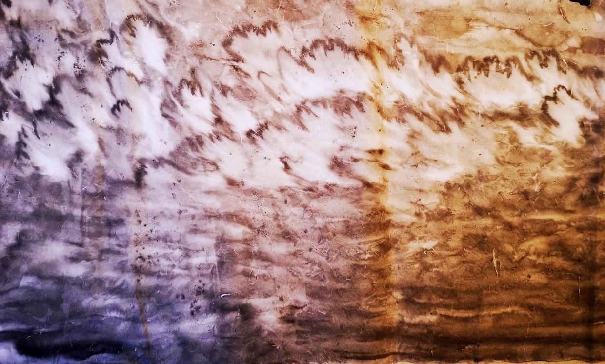 x60|丁显洲中国画作品赏析