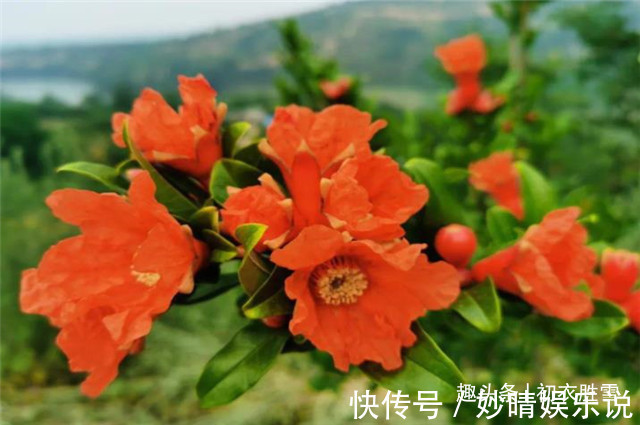 曹雪芹!红楼梦中的芒种节,到底送的是哪位花神,谜底在黛玉的葬花诗前