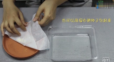 在垃圾桶里装满泥土,摆在阳台上有妙用,一年能帮你省下不少钱