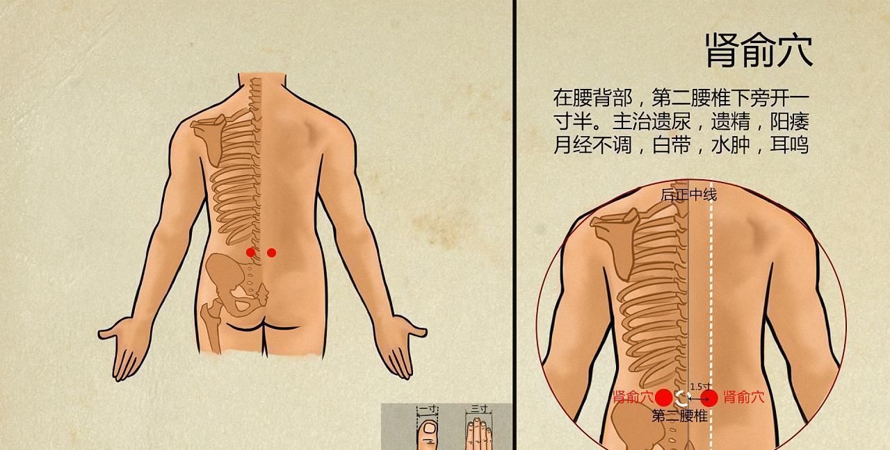 腰疼起来真难受，按摩哪些部位可以缓解推荐这3个穴位，有效