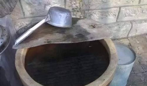  满满|旧水缸别扔，种下1棵无花果，果实大又甜，长势喜人收获满满