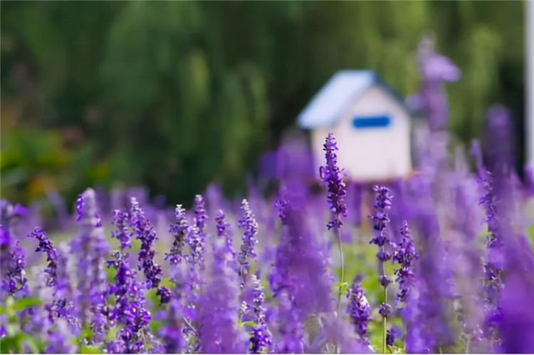 事實上，看看你家的這個地方，就知道你過得好不好，沒必要假裝