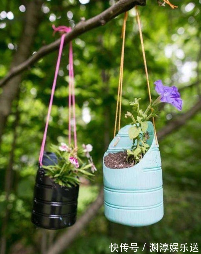 矿泉水瓶有“大作用”,10个“用法”最经典,可以种豆芽、养花