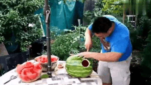 西瓜皮|男子用西瓜皮给孩子做了一件新衣服,宝宝穿上后这表情亮了!