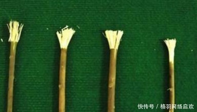 明朝|明朝此皇帝喜爱发明创造,一生只爱一个人,网友:穿越过去的吧!