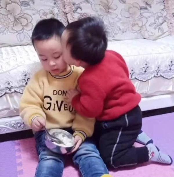 一箭双雕|哥哥独占饭碗,弟弟高情商讨要食物,宝妈“一箭双雕”方法太赞