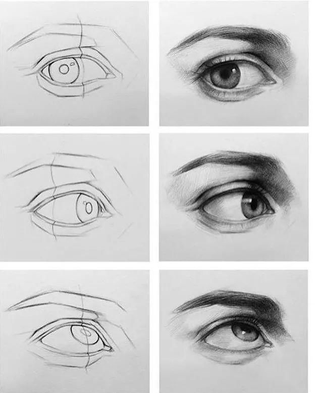 三庭五眼&学画画这么久了,结构还不会,戳这里,一定让你少走很多弯路