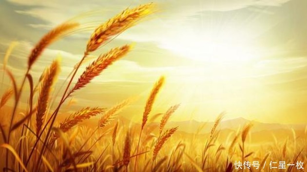 出家人|供养出家人,所做功德不可思议