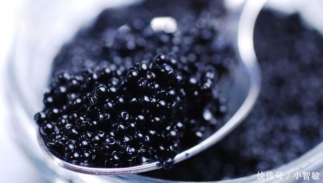  全世界“最贵的”食物！吃一口一个车没了！“王健林”表示有压力