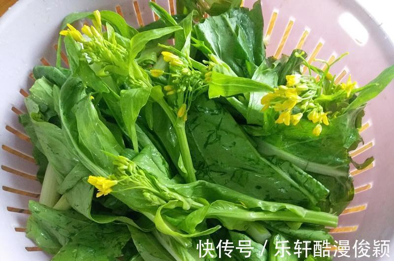 入冬吃大白菜包菜，不如多吃花菜，利肠道，炒着吃鲜香肥嫩，下饭