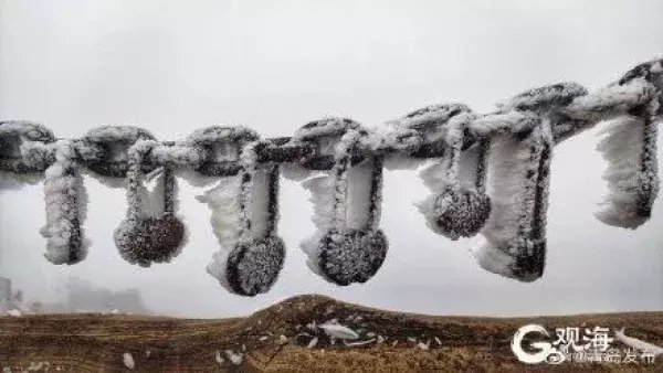 腊八冰雪送福，崂山巨峰现雾凇景观