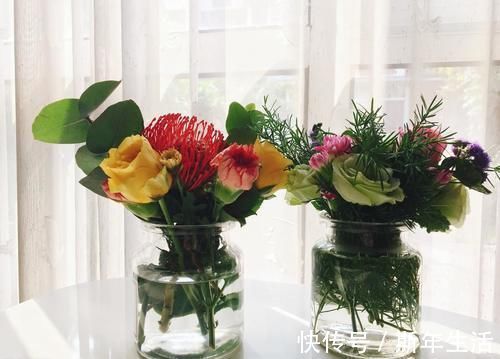 松树皮|捡拾2种树皮回来养花,花盆里埋1点,不烂根、不黄叶,长的旺