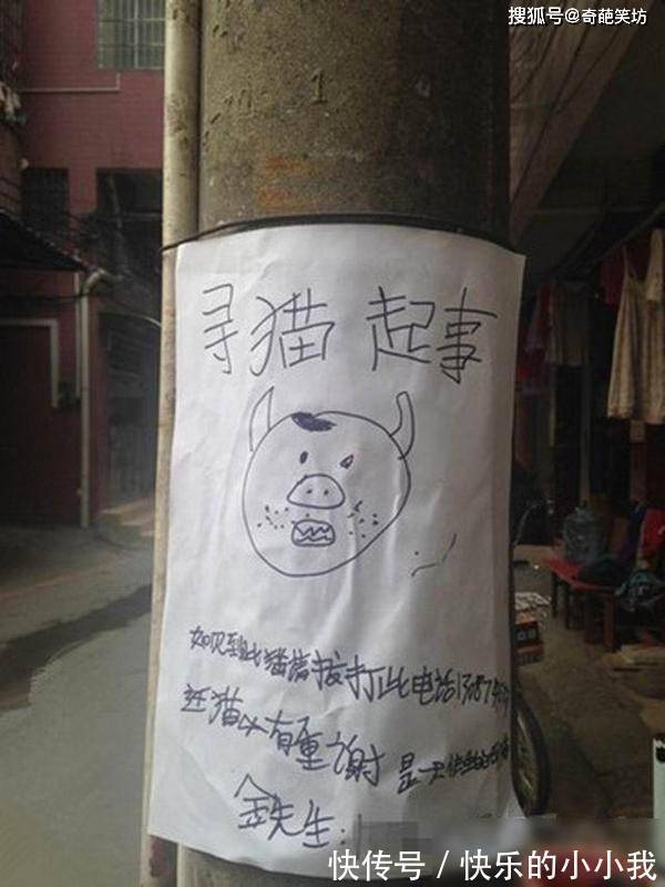 |幽默笑话:那天我被一顿猛揍,后来我变得不相信女人了