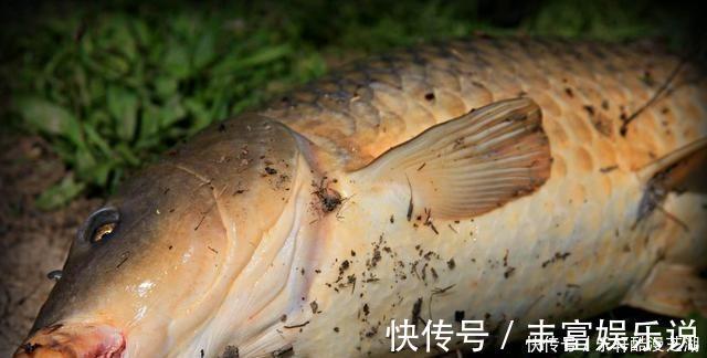 钓鱼|夏季大鱼出没的4个位置，找好钓位，钓大物更简单