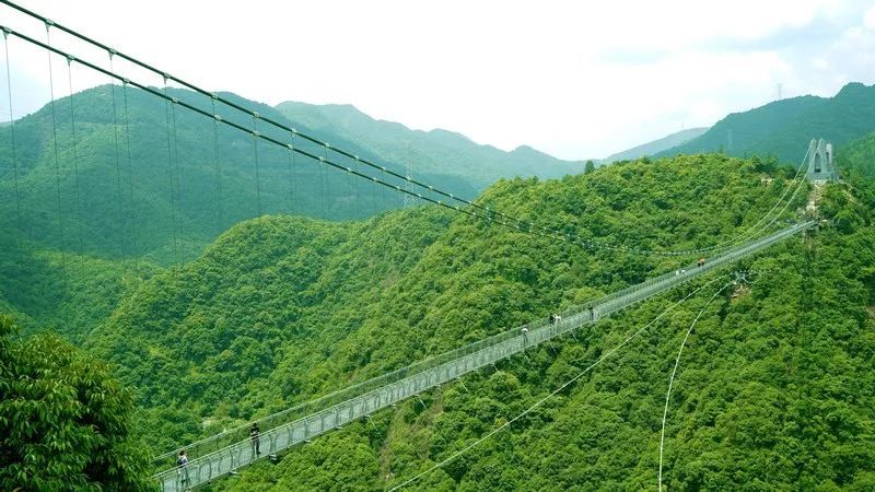 教育基地|疗养山海间 鲜甜三门湾｜好山好水好空气！鲜甜三门，邀您来打卡！～