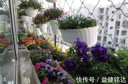 阳台上|阳台装修这么漂亮,客人更喜欢坐阳台!