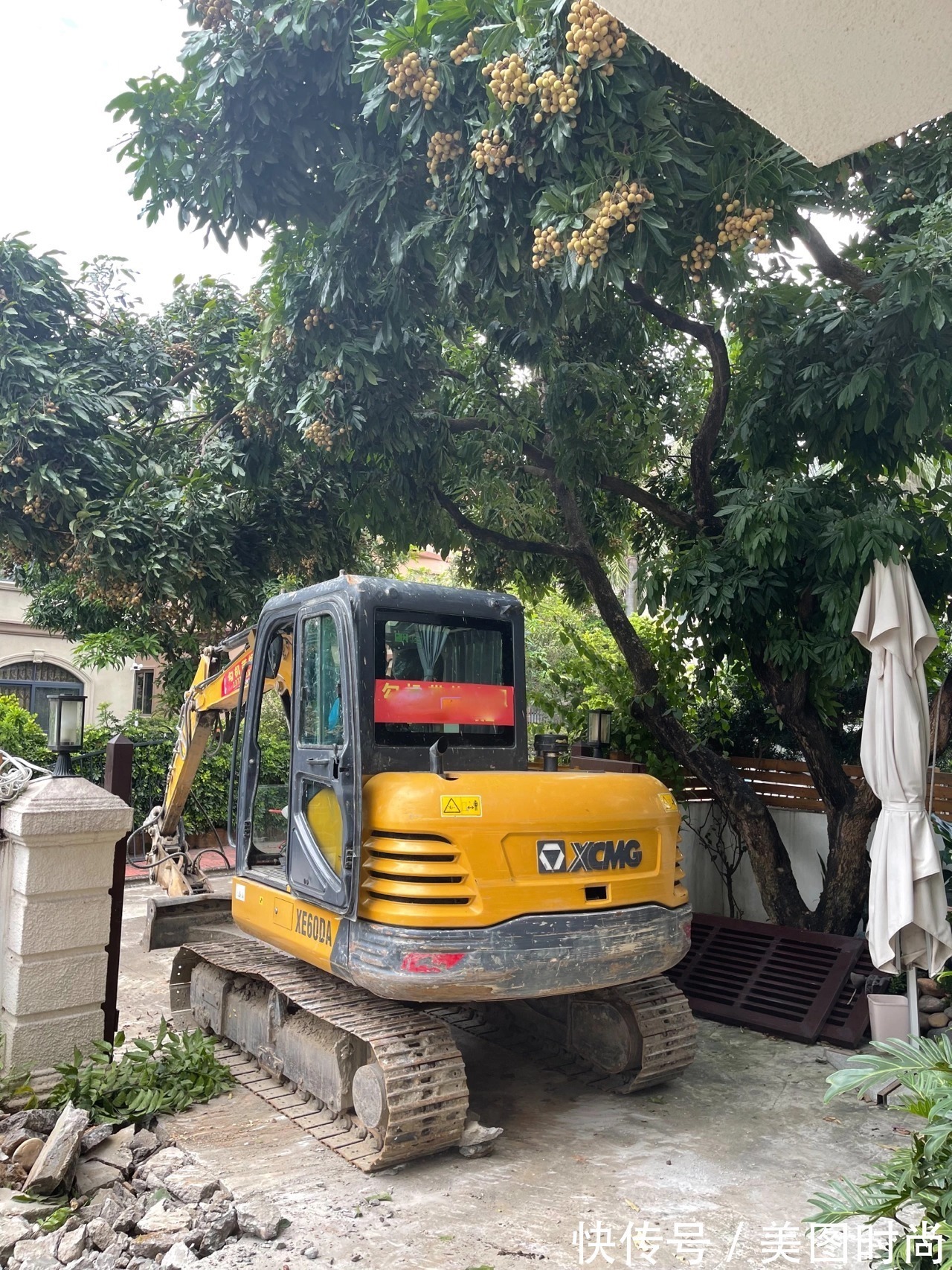 预算8万，改造170㎡别墅“沙漠植物懒人花园”，太好看了