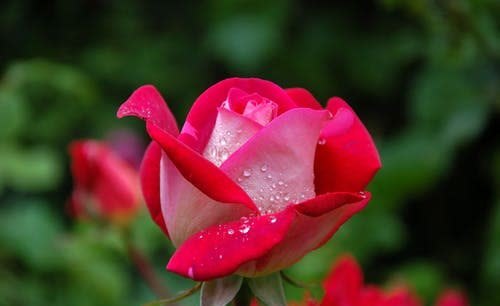 人脉@层次越低的人,越喜欢炫耀这几样东西