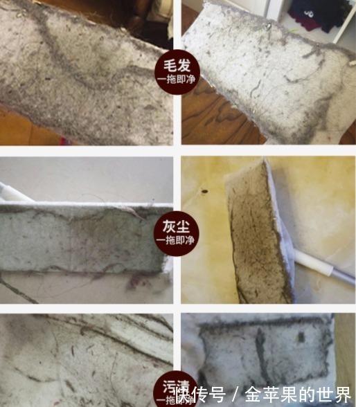 屋里两三天没有打扫就会出现很多“毛毛”,这是怎么一回事!