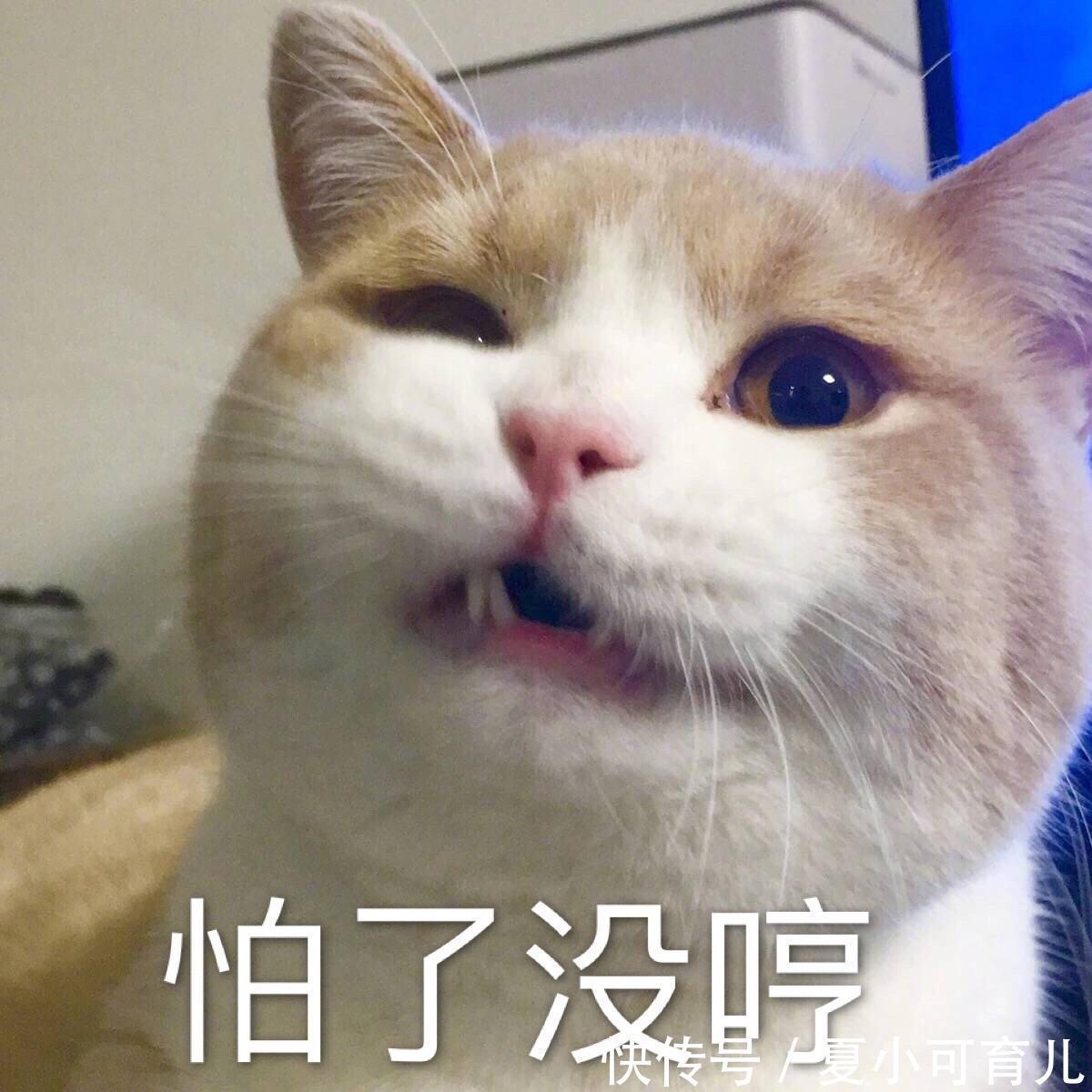 孕妈们|公认好用的5款“神仙面膜”：不仅平价好用，颜值也高，孕妇可用
