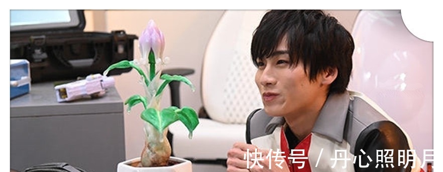 设定|奥特曼新设定,圆谷确认卡尔蜜拉的思念,她对特利迦有特别的感情!