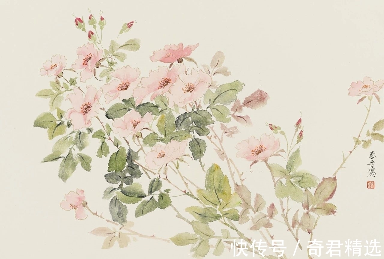 西安美术学院@「津门网」用没骨法绘制花卉,这极其考验画家对笔墨色彩的把控