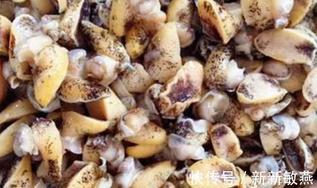 海产品|吃不起鲍鱼可吃它，1斤才9元，不但补钙而且有助于长大个！