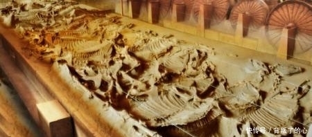 殉葬|赵卿墓中出现4个活人陪葬，中国古代的人殉有多惨？