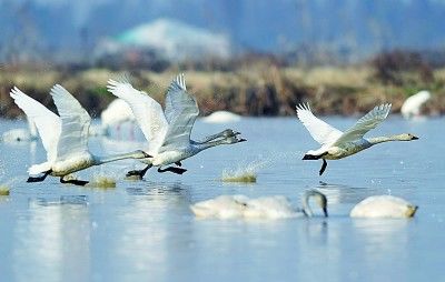 江西省|多彩鄱阳湖，看人与自然如何和谐共生