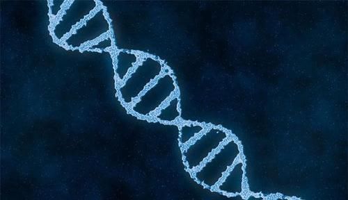 孩子|有这三个怪癖的孩子往往高智商,别扼杀天才,很多父母还傻傻纠正