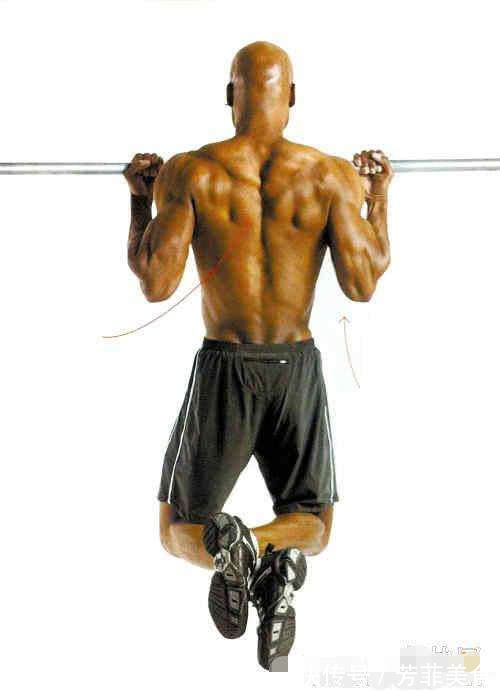 反手|做引体向上用正手和反手哪个更能有效锻炼肌肉听内行人说完，瞬间明白了