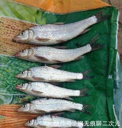 |幽默笑话:尼姑打扮的妇女,在推销一个画有菩萨图案的小挂件