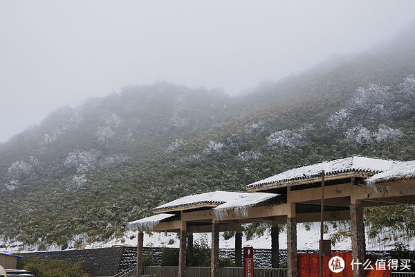 金佛山|夏日忆雪---重庆南川金佛山赏雪记