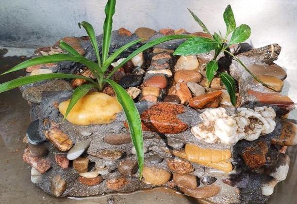 养花太''烧钱''用它们制作漂亮花盆栽种植物,乐趣多、实用