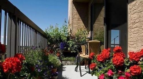 为了养花种菜,奶奶花160万买了郊区的别墅,3年之后,后悔了