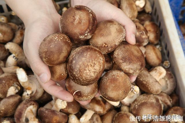 香菇,万不可只用清水洗,相当于吃虫卵