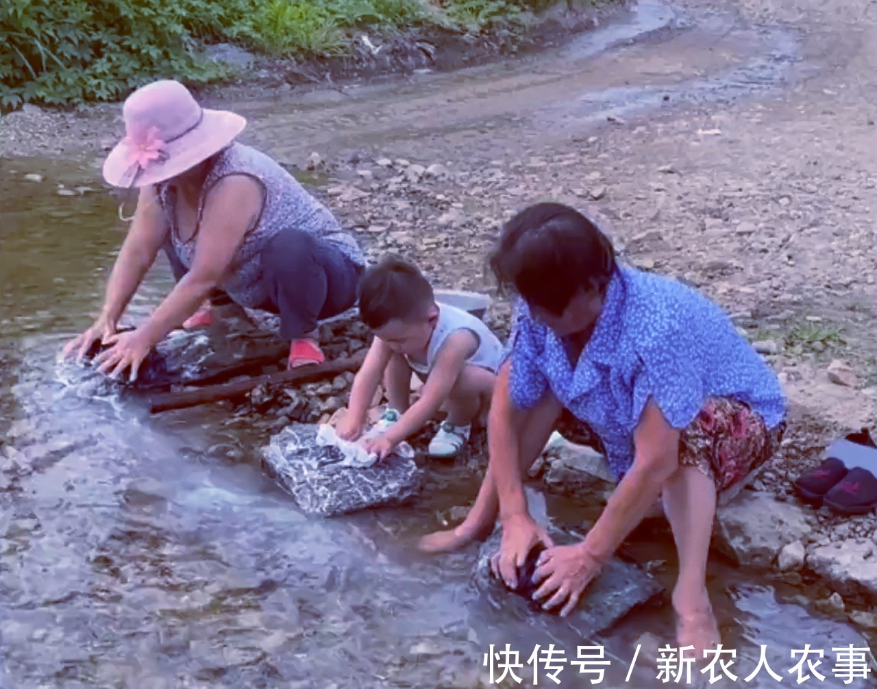 萌娃|萌娃回农村过暑假,彻底放飞自我成“鸭霸”,回到城里后却郁闷了