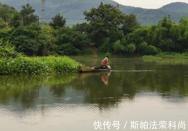 钓鱼|被电过的地方还能钓鱼吗？短时间作钓，只有2种对策方可一试