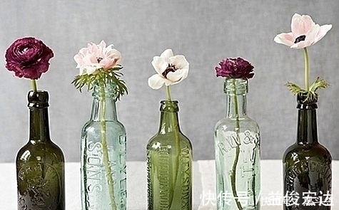 灯泡|你还在花钱买花盆吗？别买了，自制花盆，比买的好看的多了