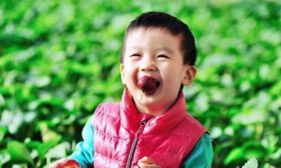 宝爸|怀了二胎的媳妇想吃草莓,宝爸亲自喂着吃,围观的大女儿眼神亮了