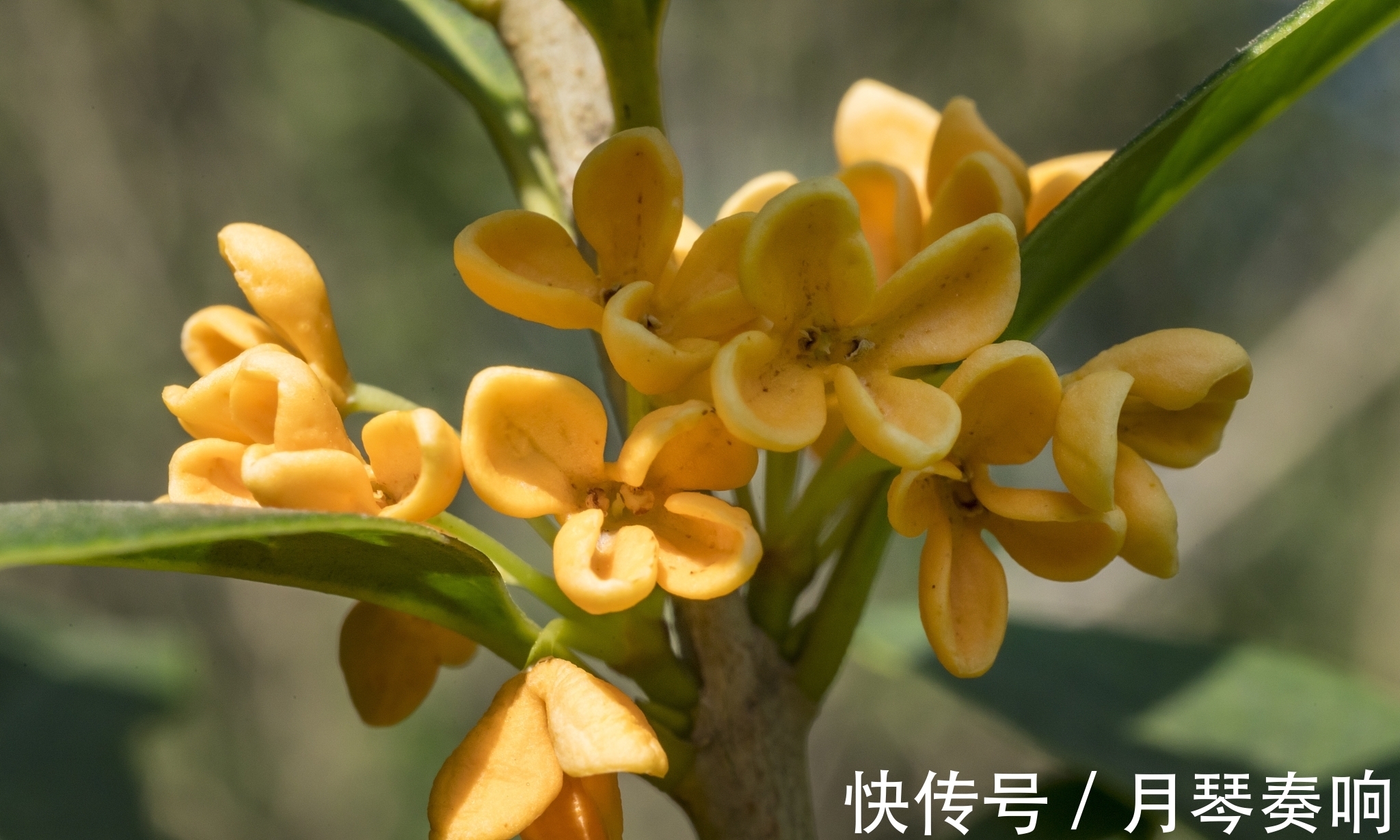 退士!盛唐最后一位贤相被贬后写下一首诗,成为《唐诗三百首》开卷之作